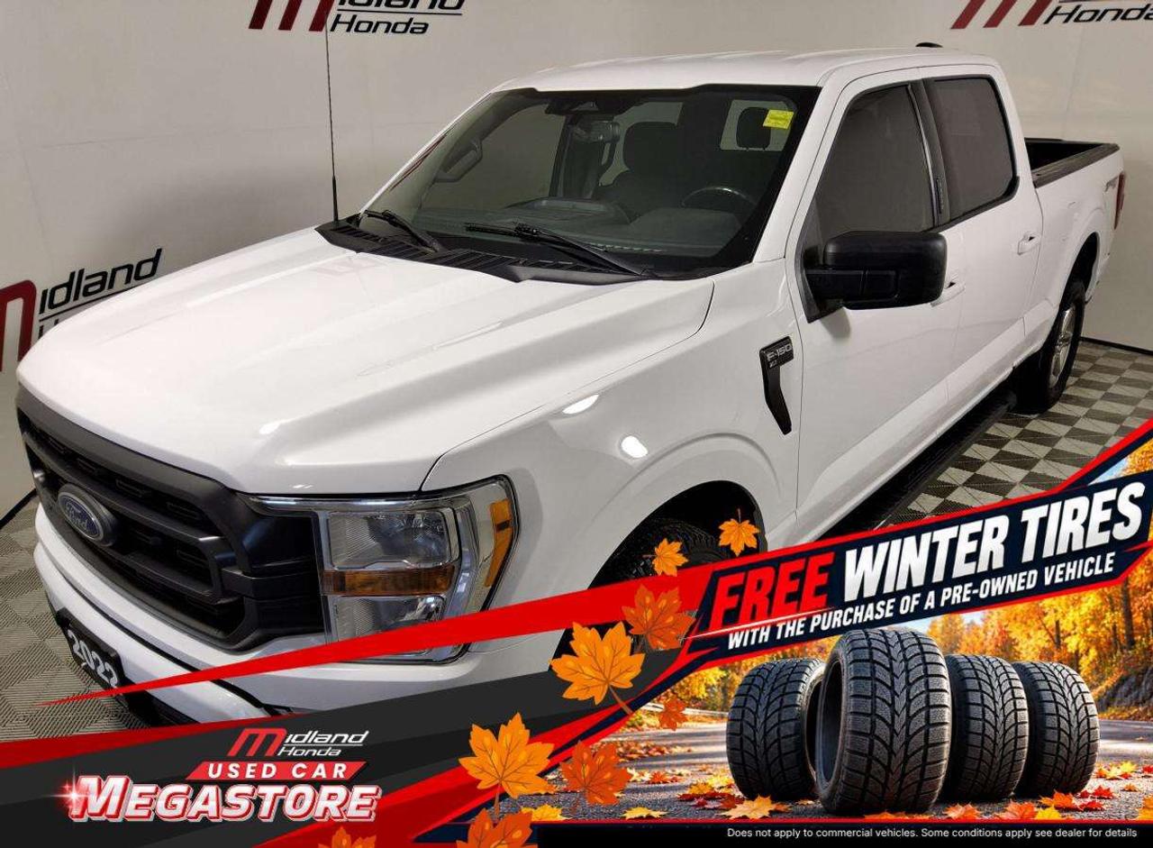 2022 Ford F-150 XLT Photo