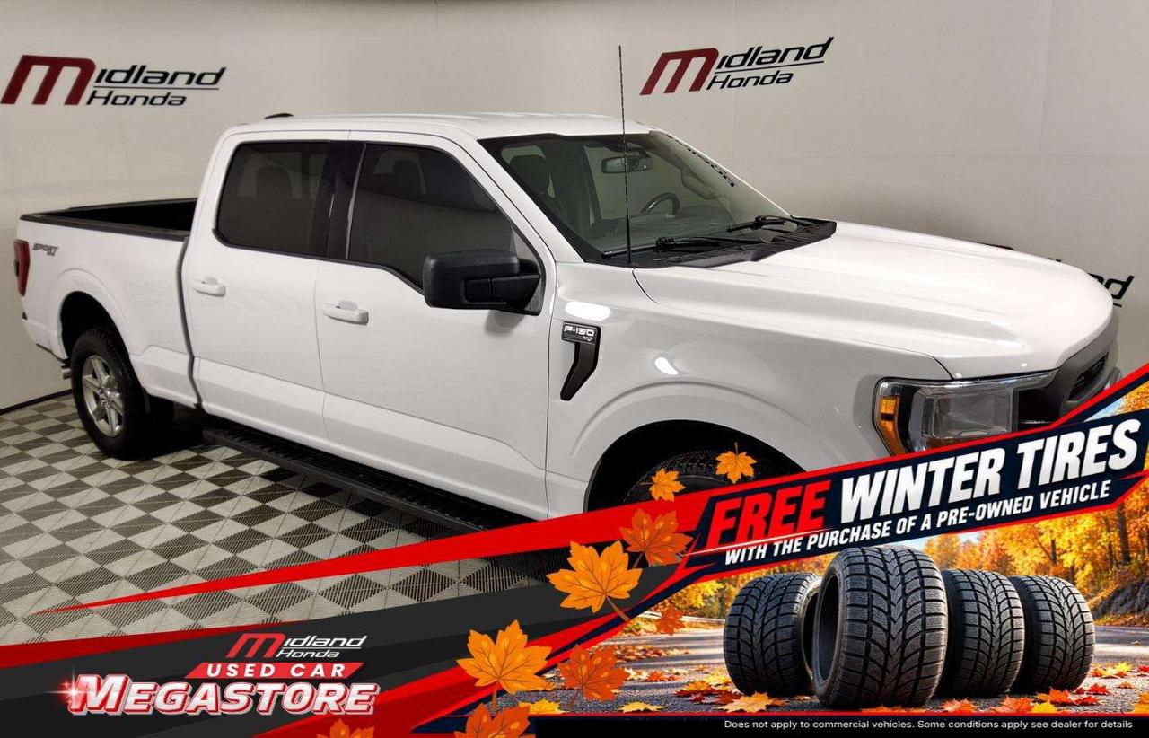 2022 Ford F-150 XLT Photo