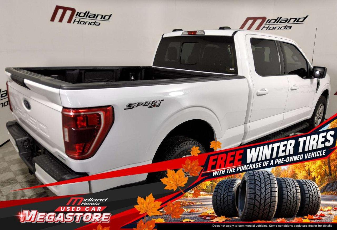 2022 Ford F-150 XLT Photo