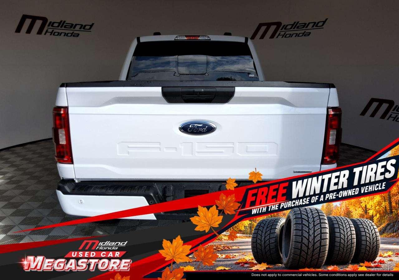 2022 Ford F-150 XLT Photo