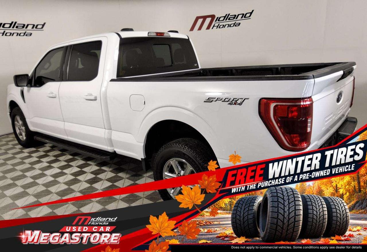 2022 Ford F-150 XLT Photo