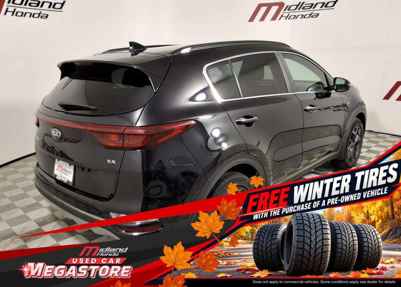2022 Kia Sportage EX S Photo