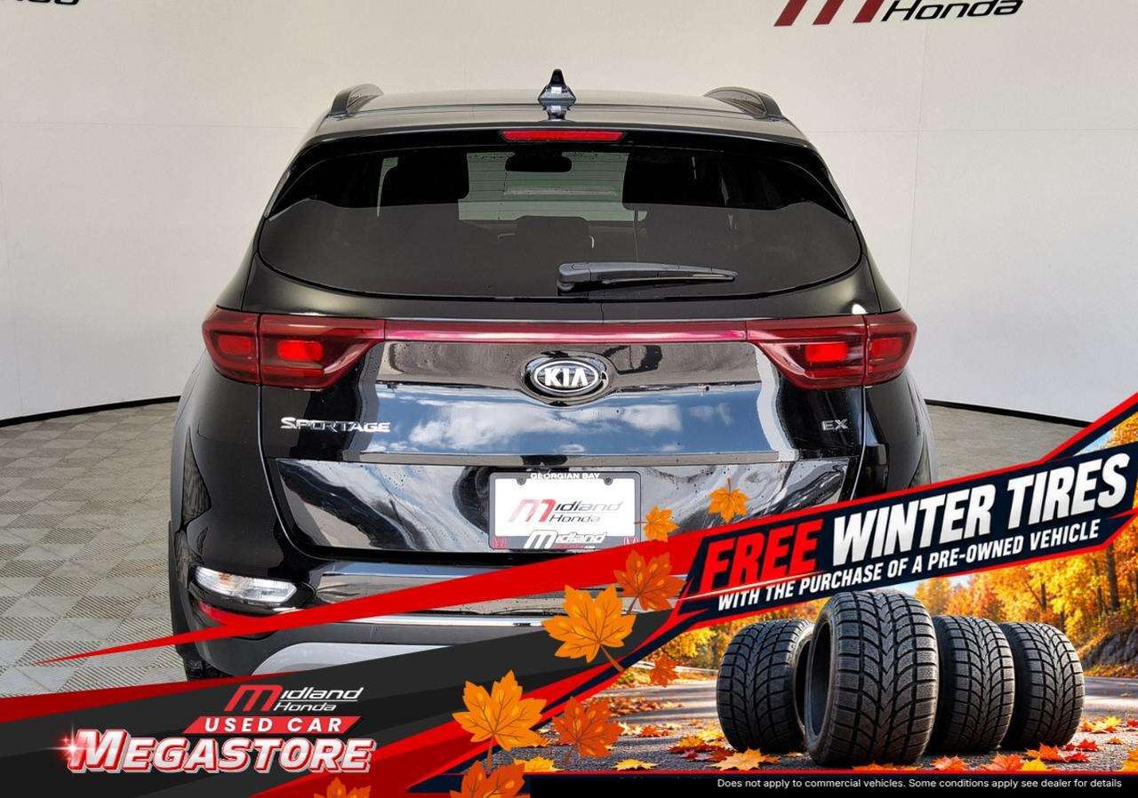 2022 Kia Sportage EX S Photo