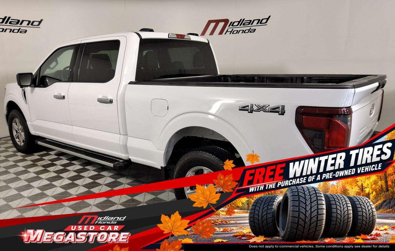 2024 Ford F-150 XLT Photo