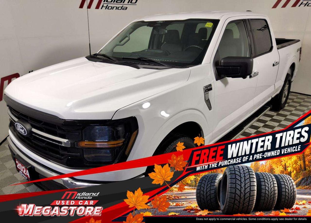 2024 Ford F-150 XLT Photo