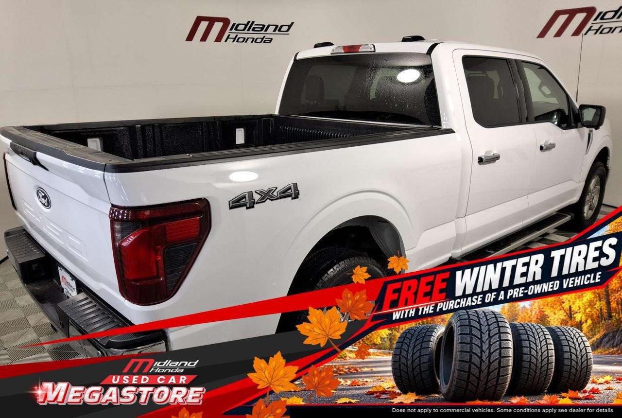 2024 Ford F-150 XLT Photo