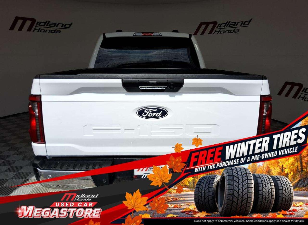 2024 Ford F-150 XLT Photo