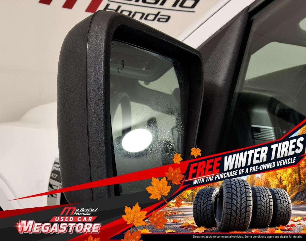 2024 Ford F-150 XLT Photo