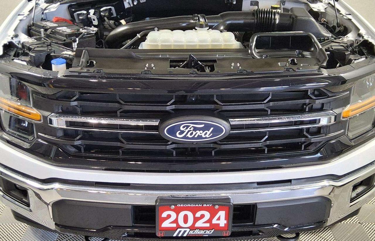 2024 Ford F-150 XLT Photo