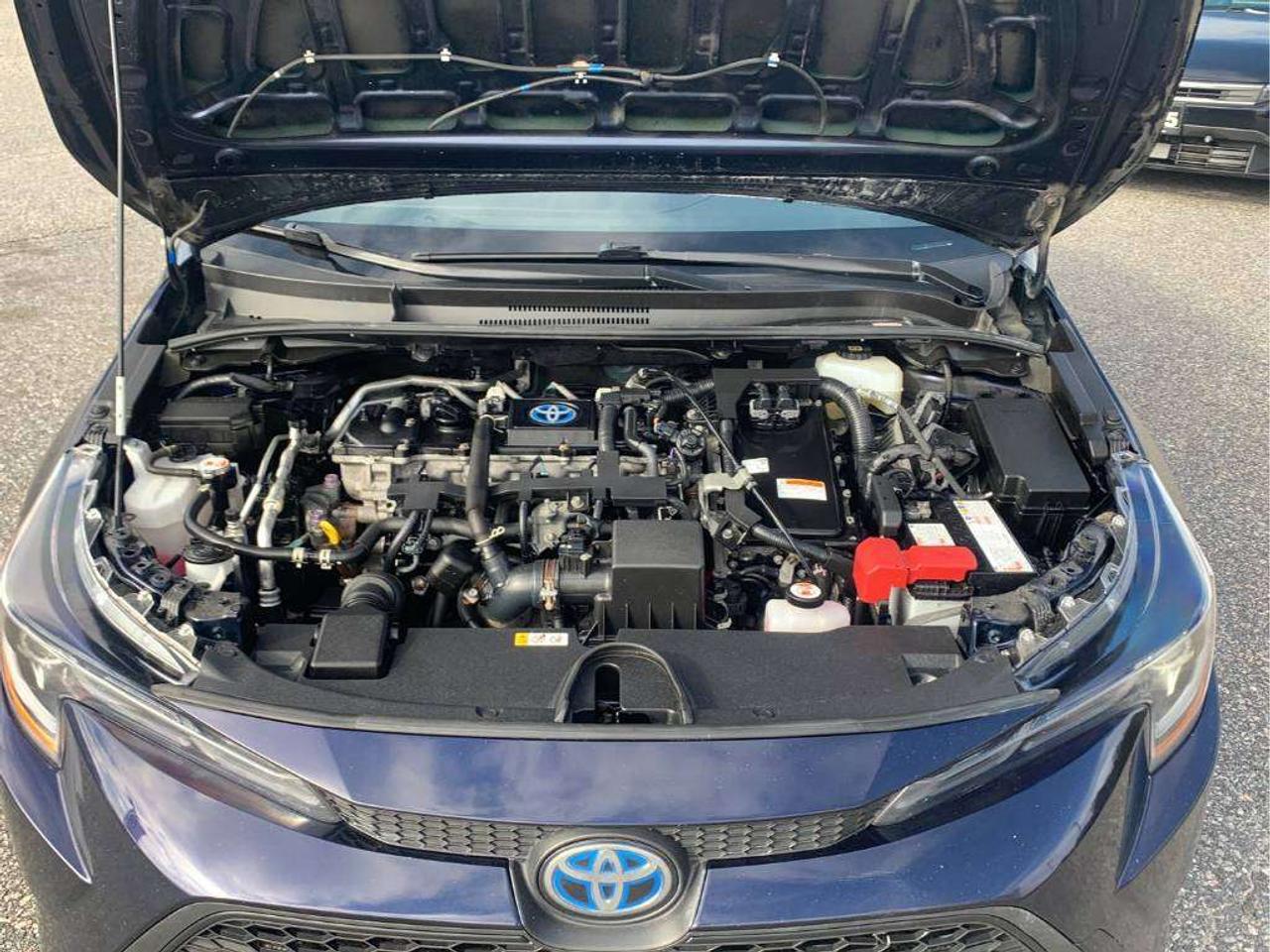 2022 Toyota Corolla LE Photo