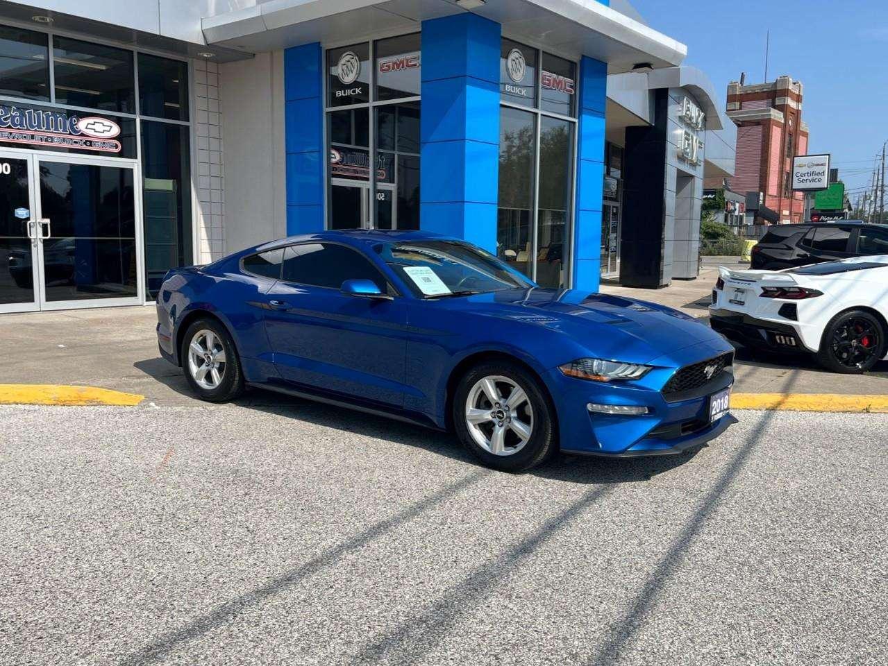 2018 Ford Mustang ECOBOOST MATURE OWNER Photo
