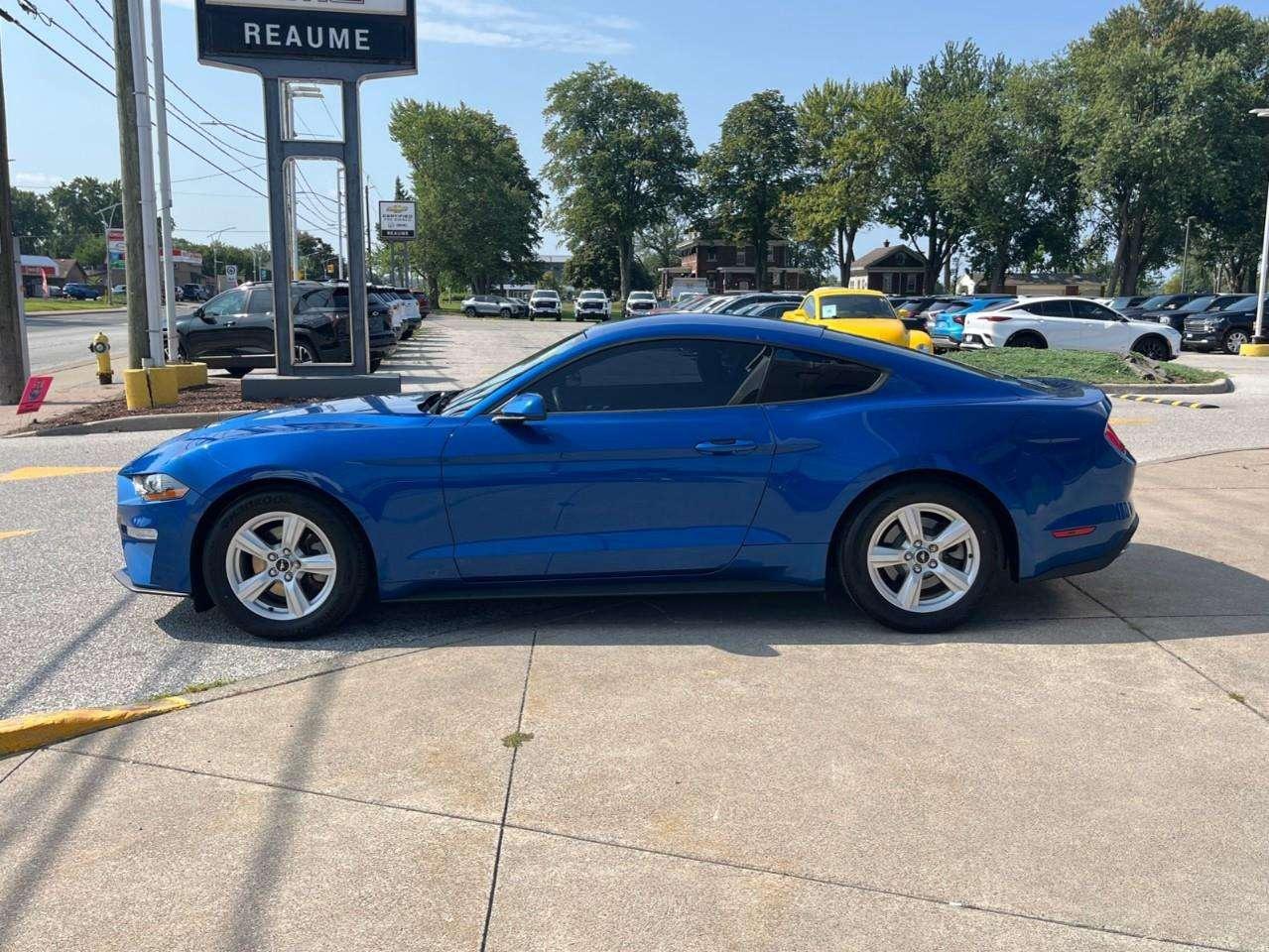 2018 Ford Mustang ECOBOOST MATURE OWNER Photo