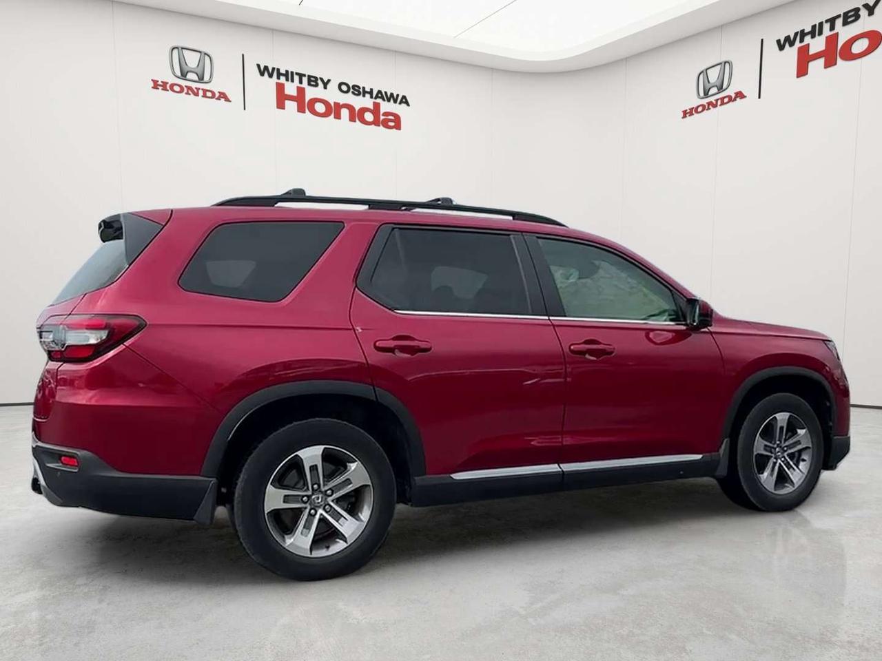 2025 Honda Pilot EX-L Photo