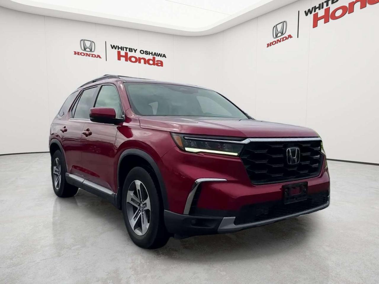 2025 Honda Pilot EX-L Photo