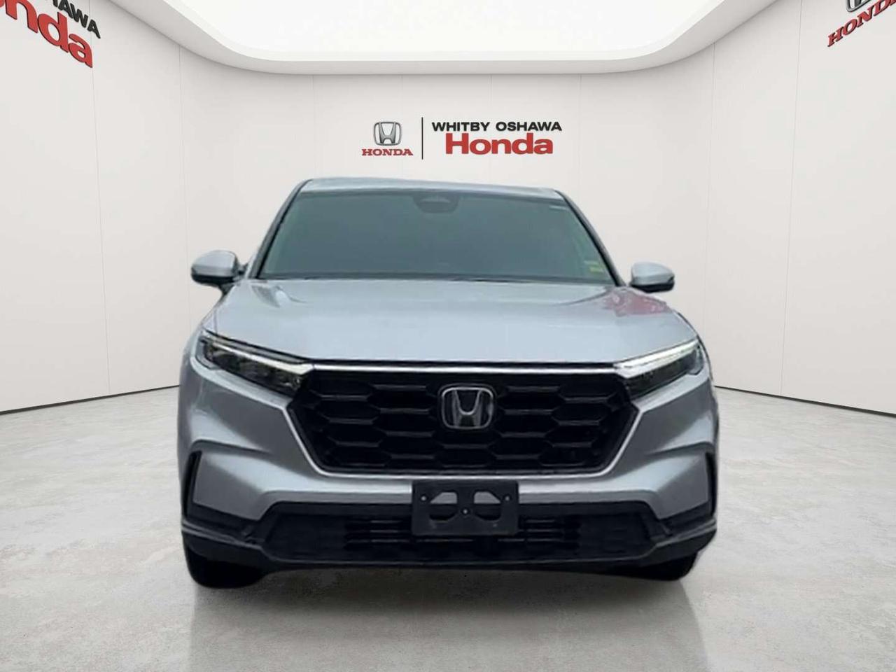 2024 Honda CR-V LX Photo