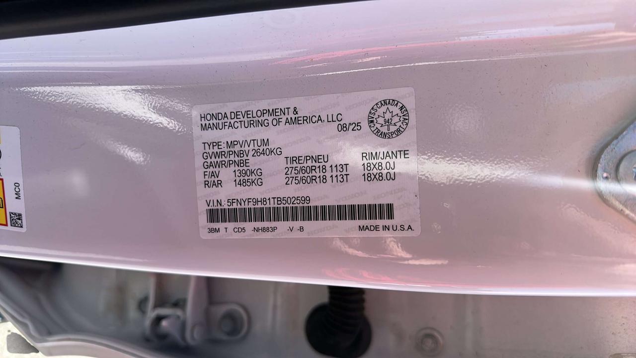2026 Honda Passport TRAILSPORT Photo