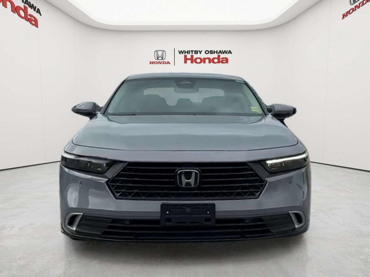 2025 Honda Accord Touring Photo