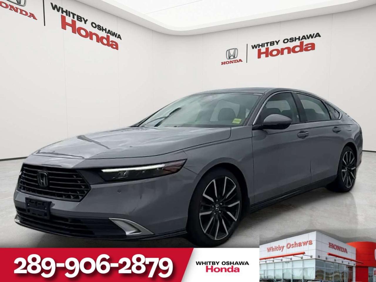 2025 Honda Accord Touring Photo0