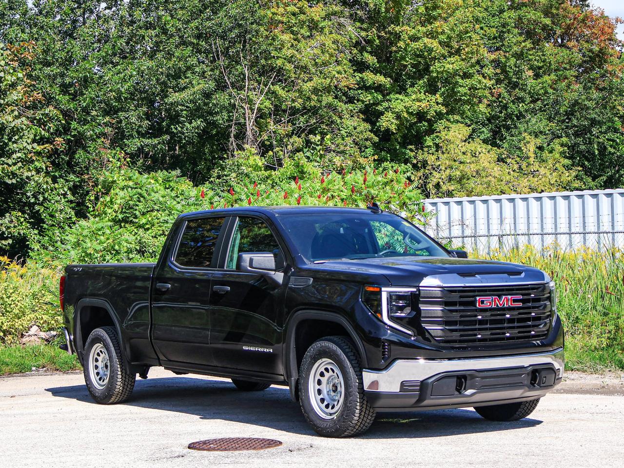 2026 GMC Sierra 1500 PRO Photo