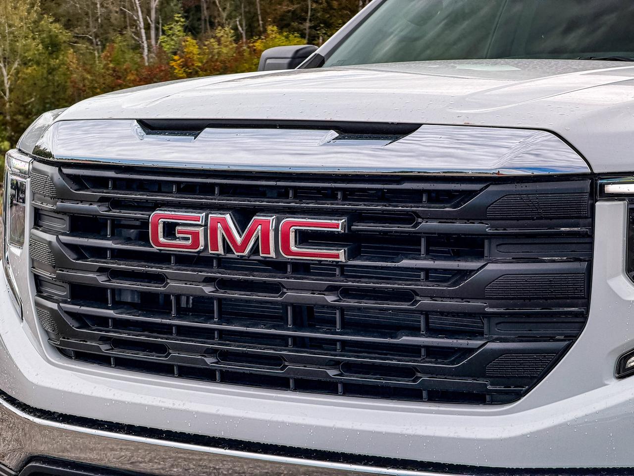 2026 GMC Sierra 1500 PRO Photo
