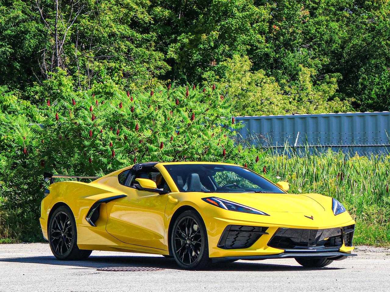 2025 Chevrolet Corvette 2LT Photo