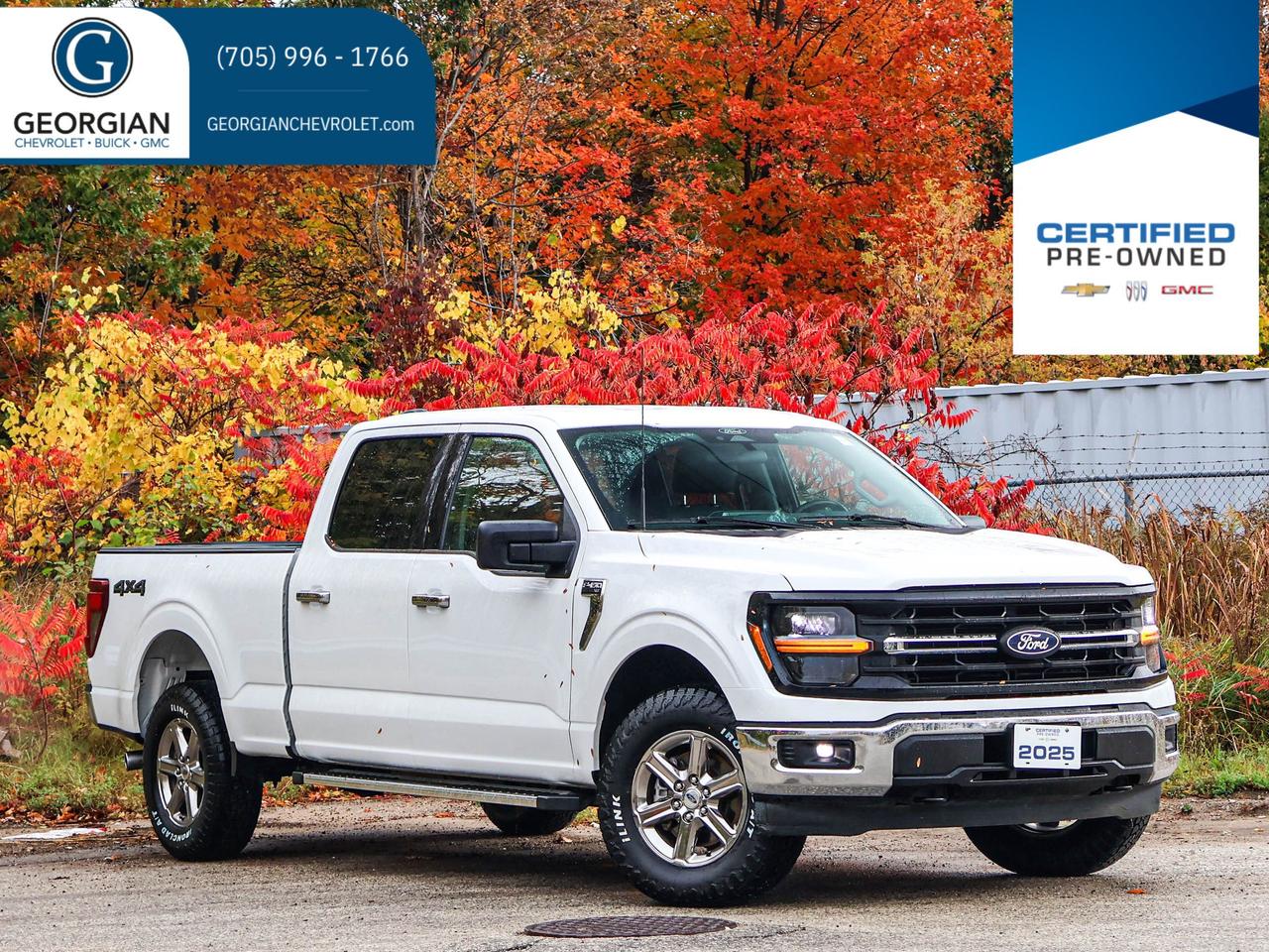 2025 Ford F-150 XLT Photo0