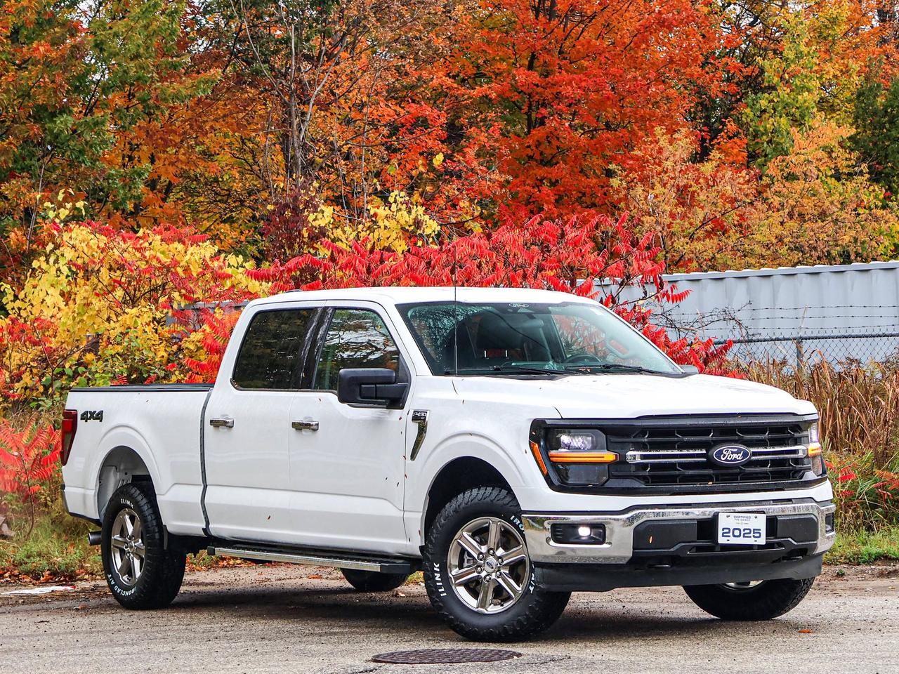 2025 Ford F-150 XLT Photo5