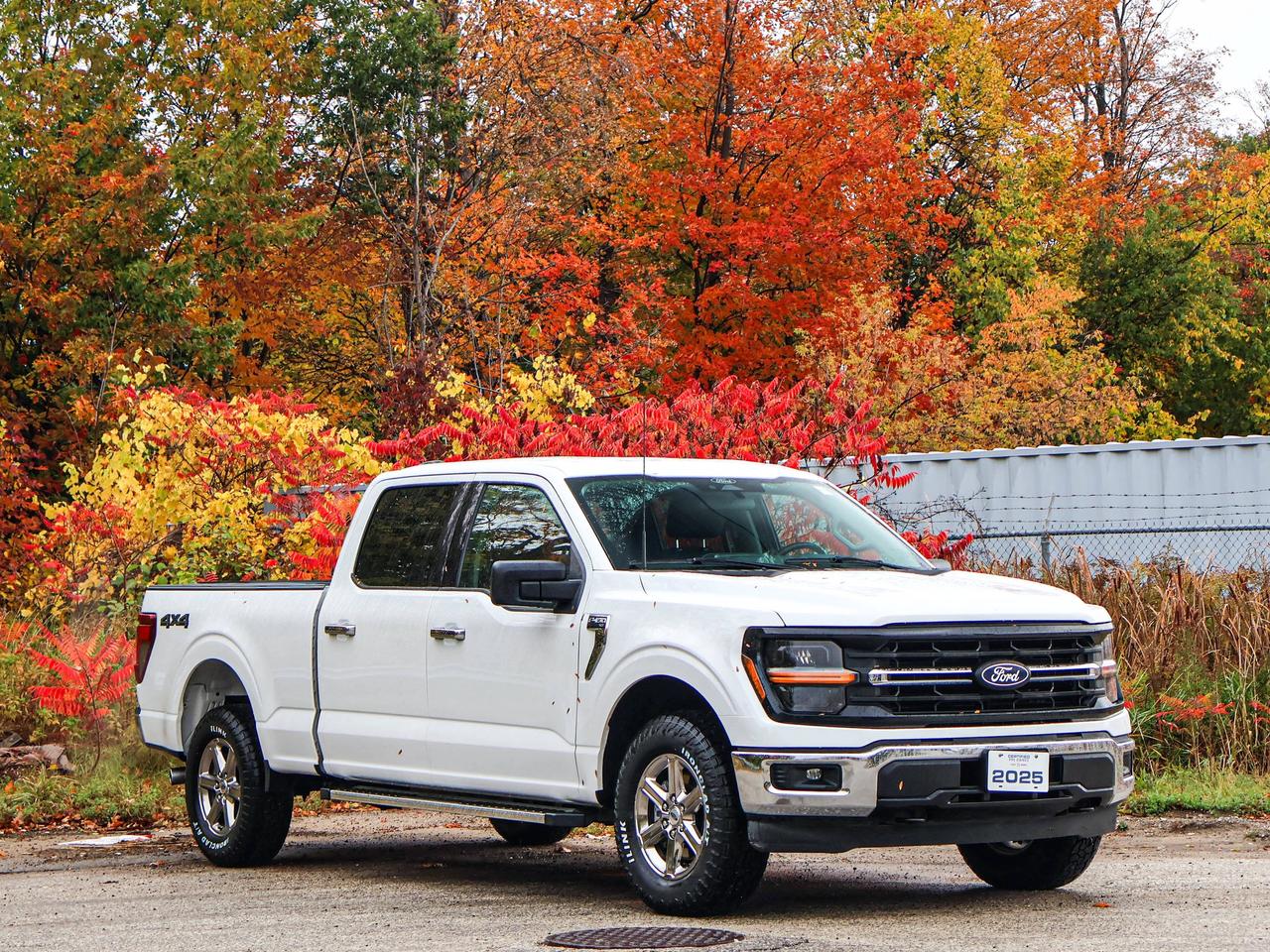 2025 Ford F-150 XLT Photo