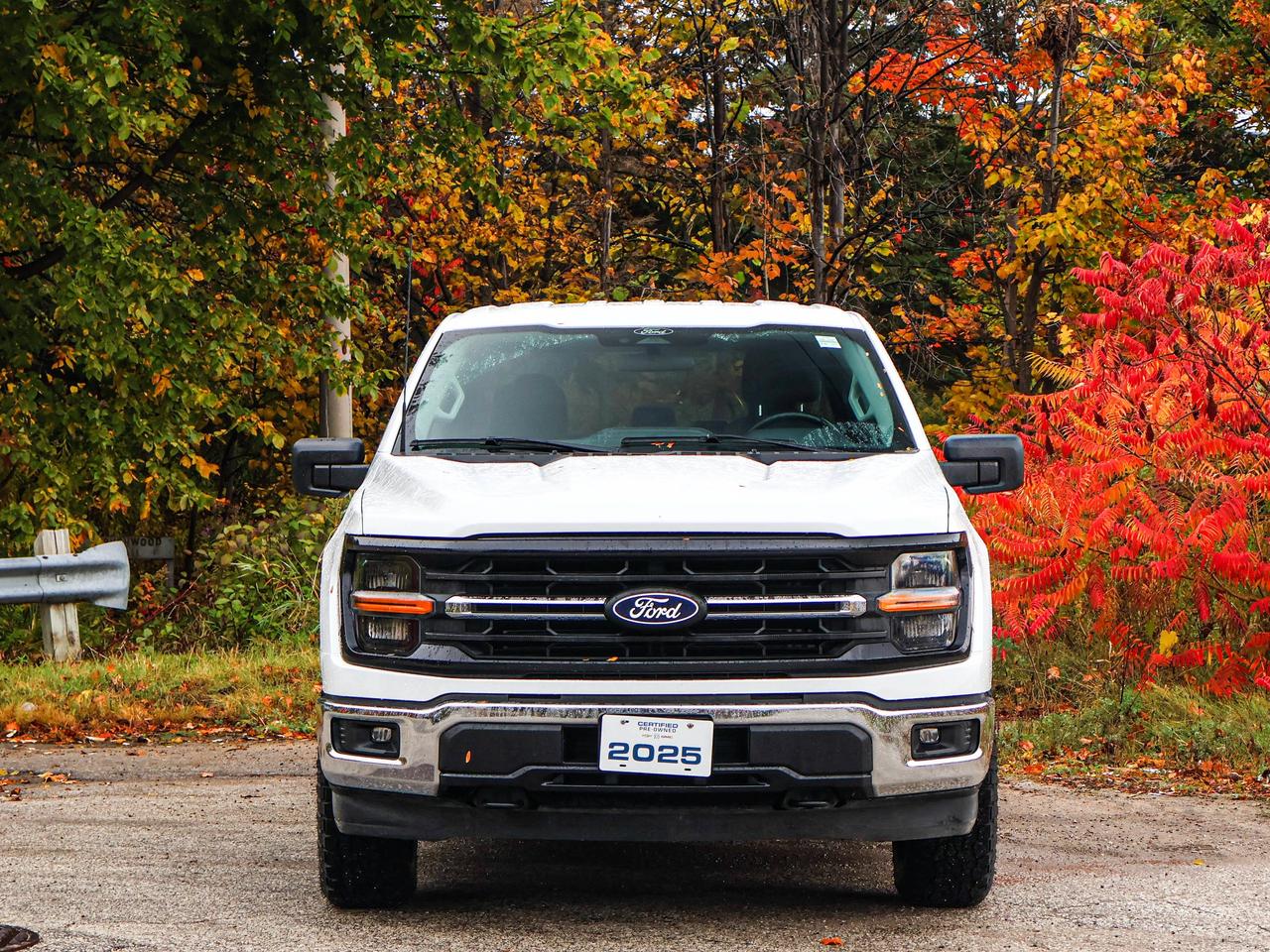 2025 Ford F-150 XLT Photo