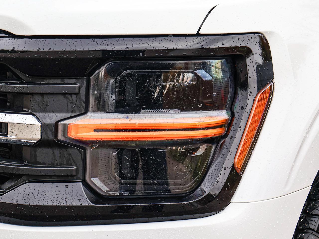 2025 Ford F-150 XLT Photo