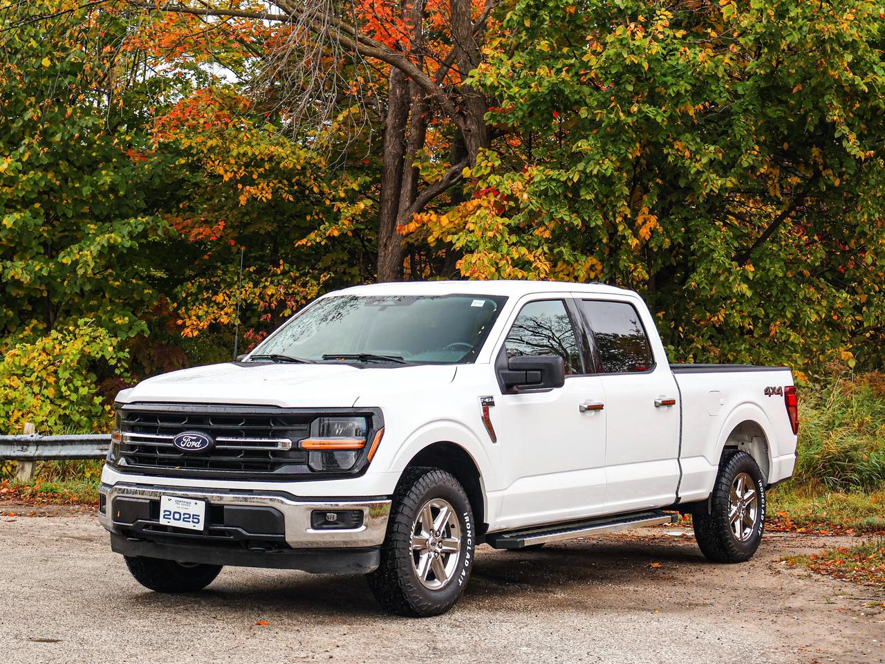 2025 Ford F-150 XLT Photo