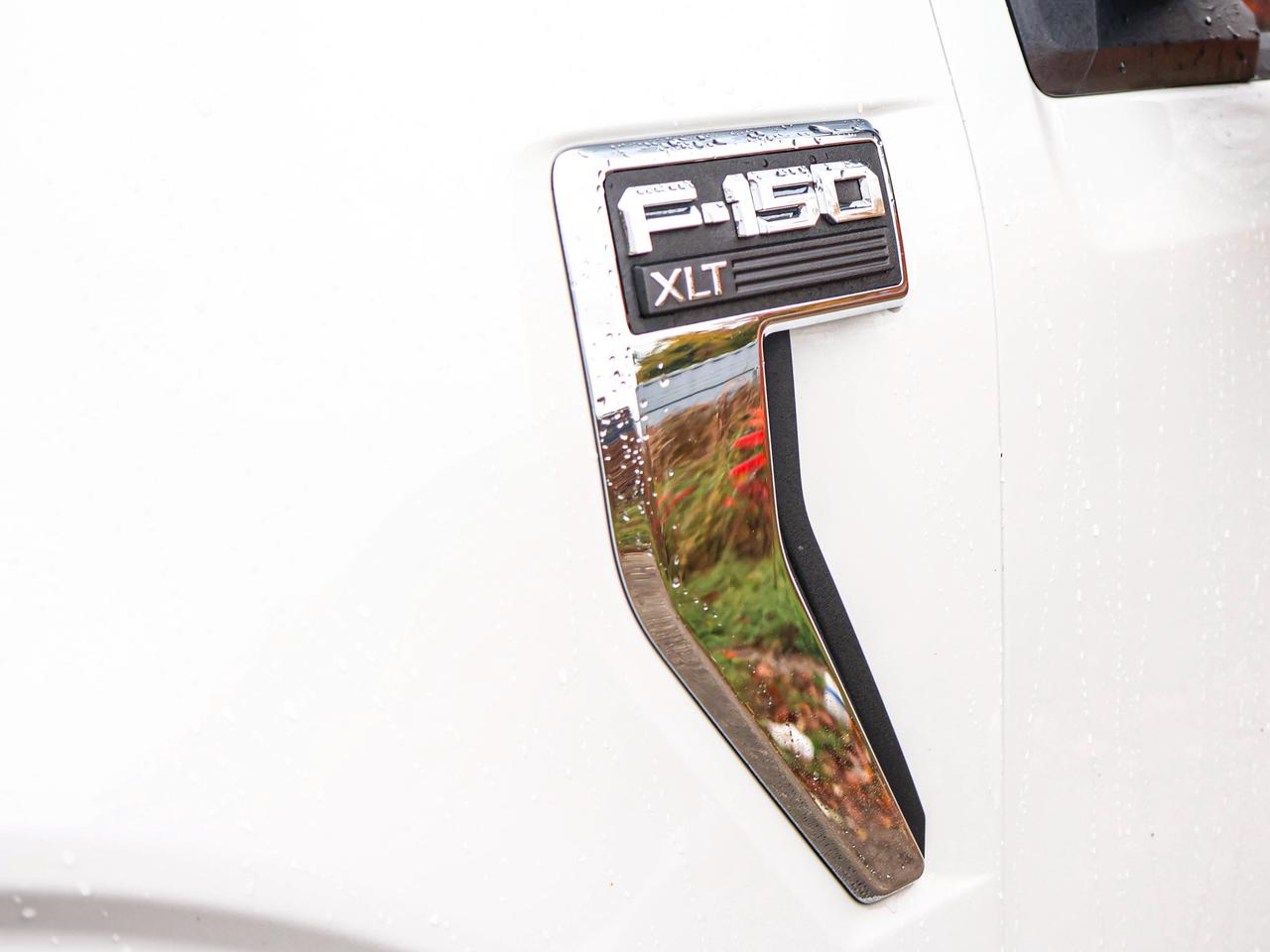 2025 Ford F-150 XLT Photo