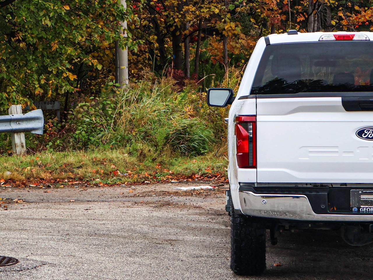 2025 Ford F-150 XLT Photo