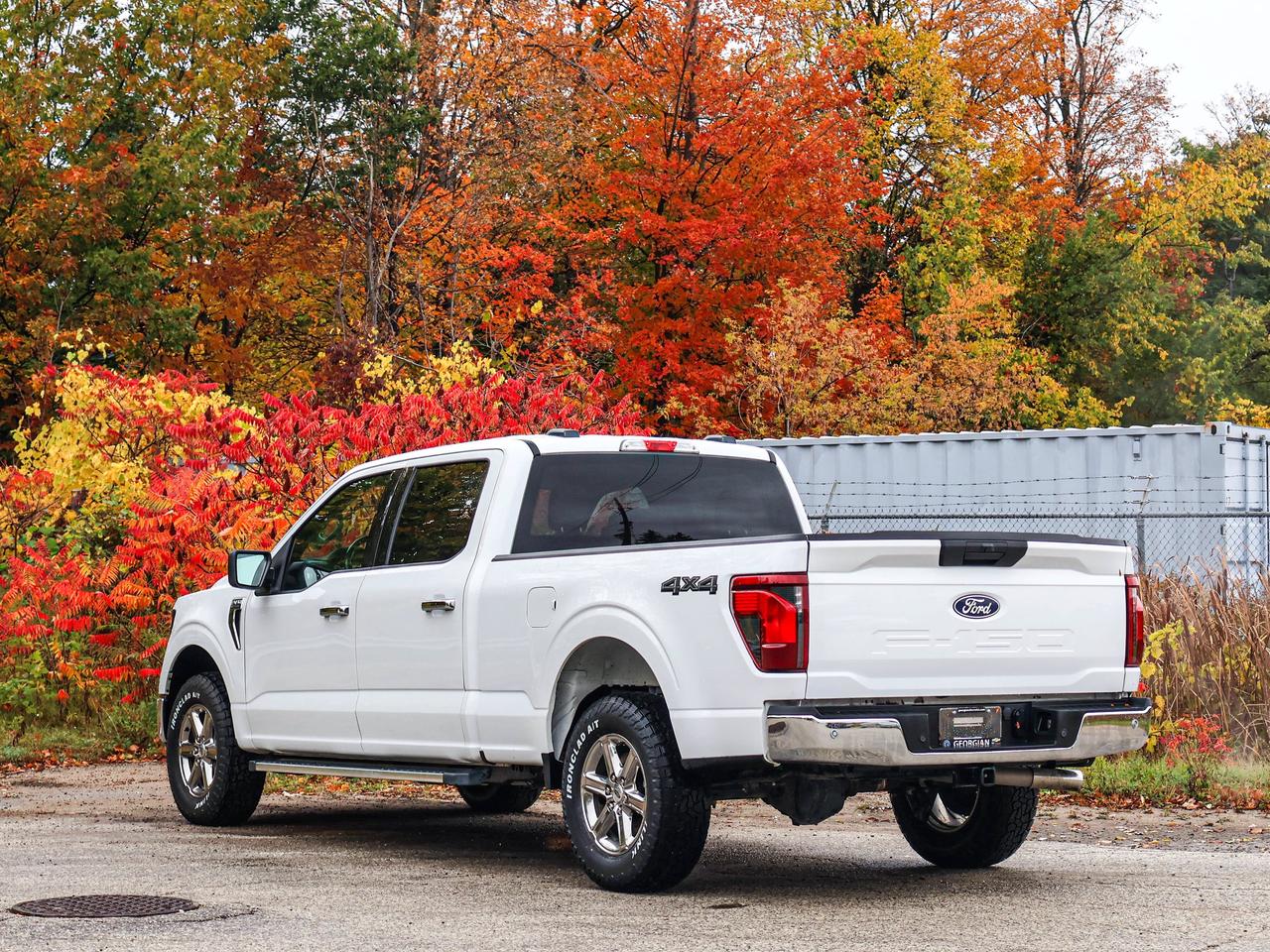 2025 Ford F-150 XLT Photo