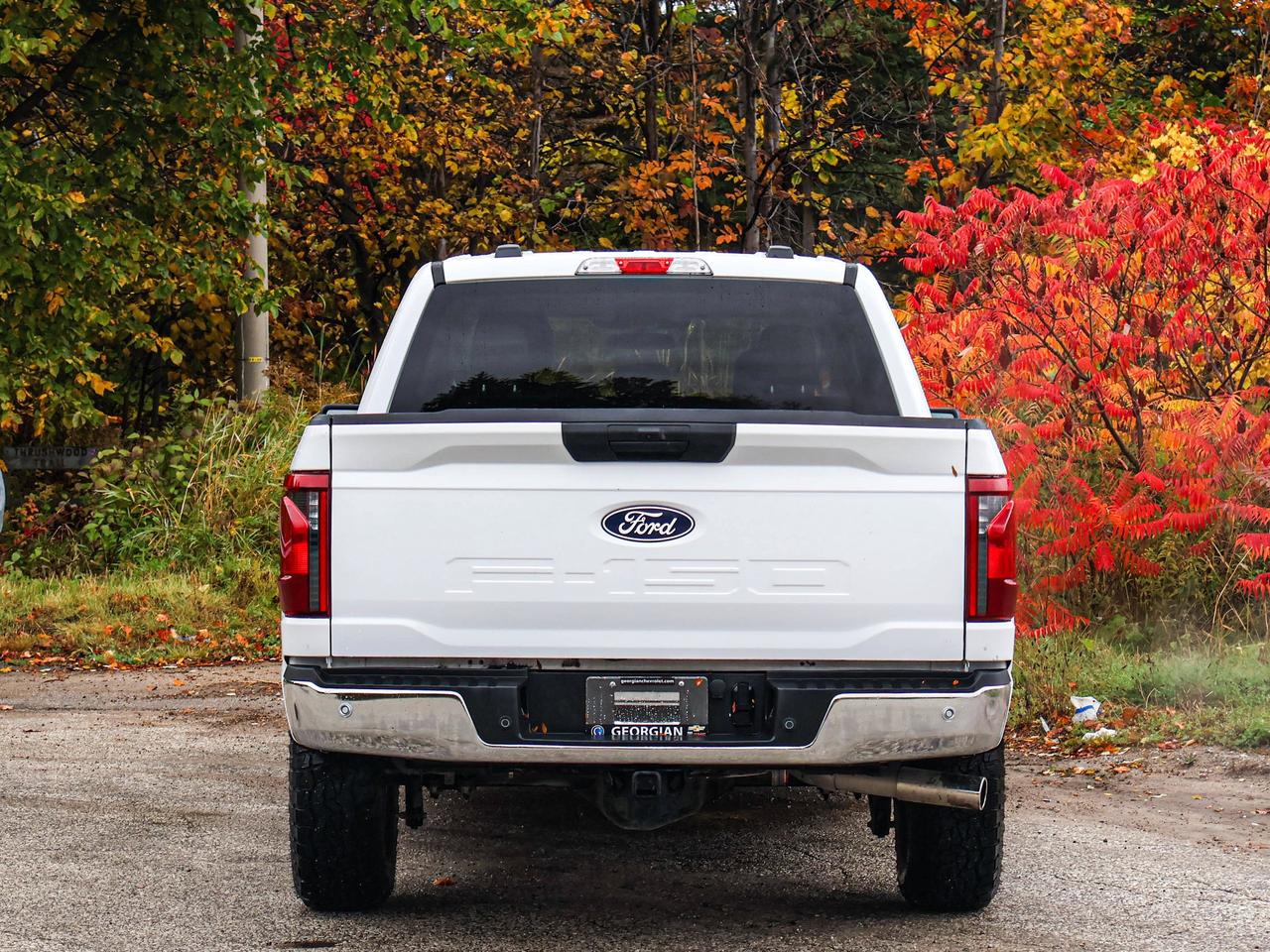 2025 Ford F-150 XLT Photo