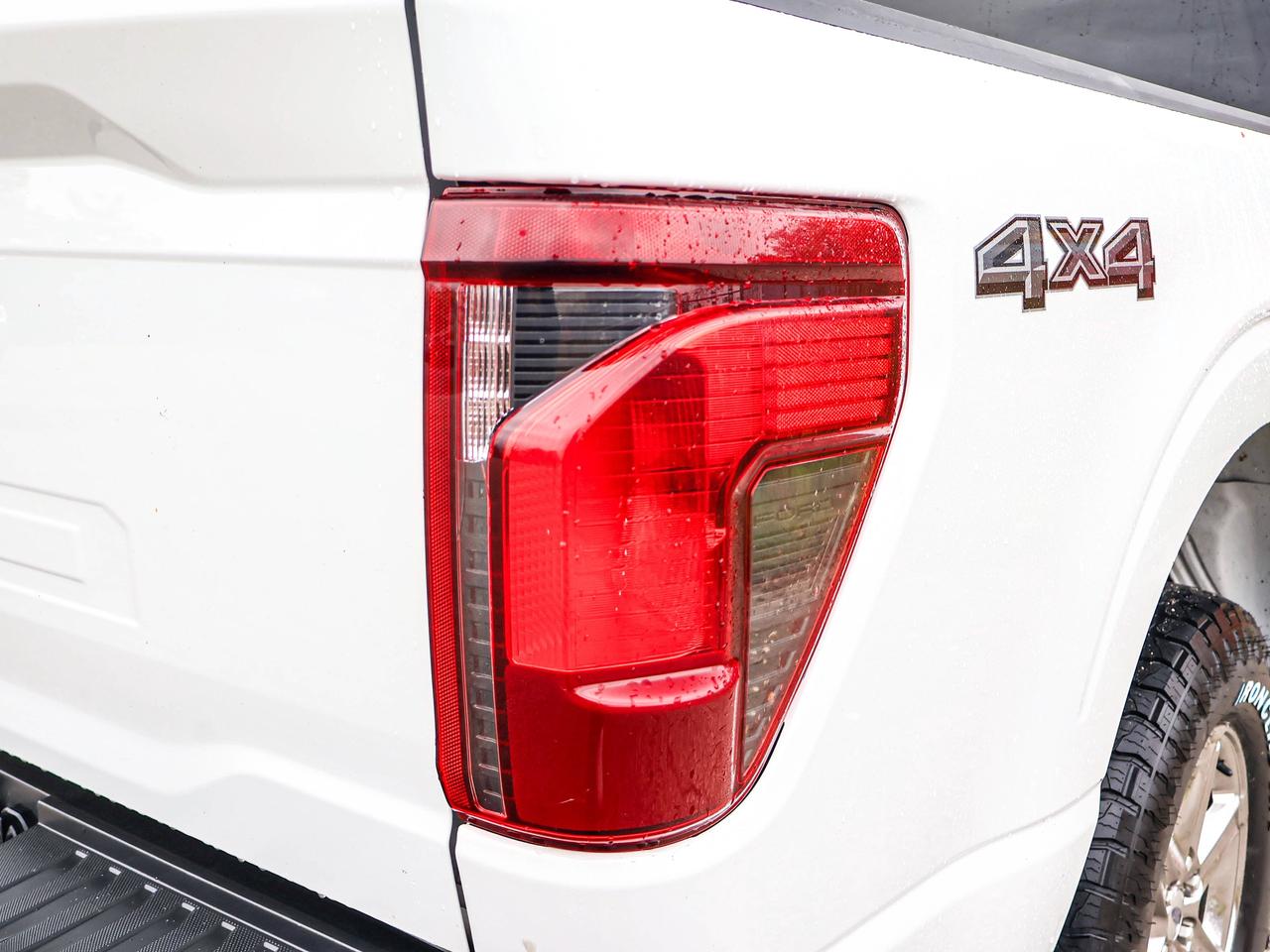2025 Ford F-150 XLT Photo