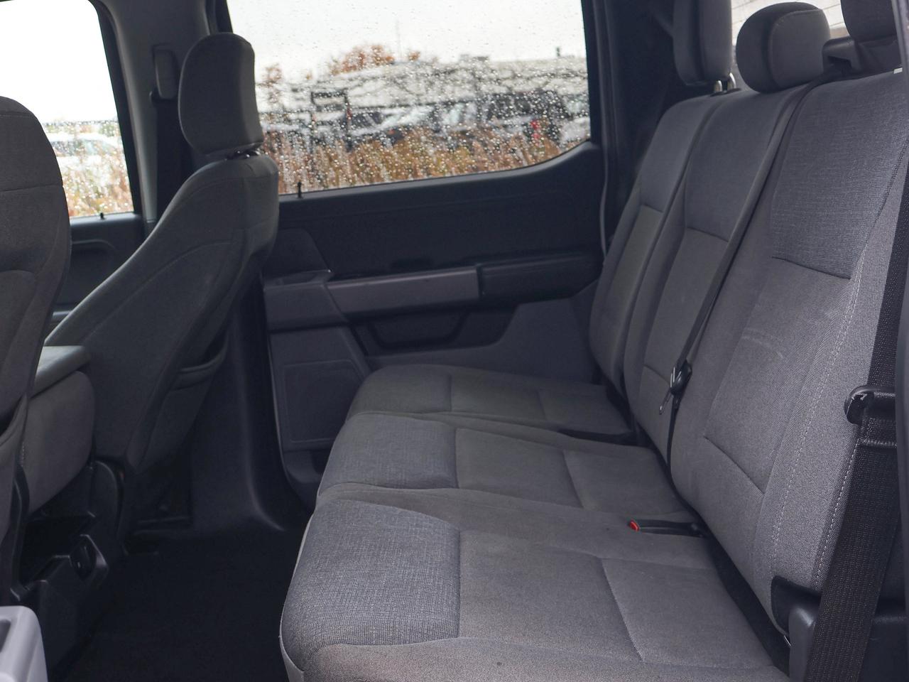 2025 Ford F-150 XLT Photo