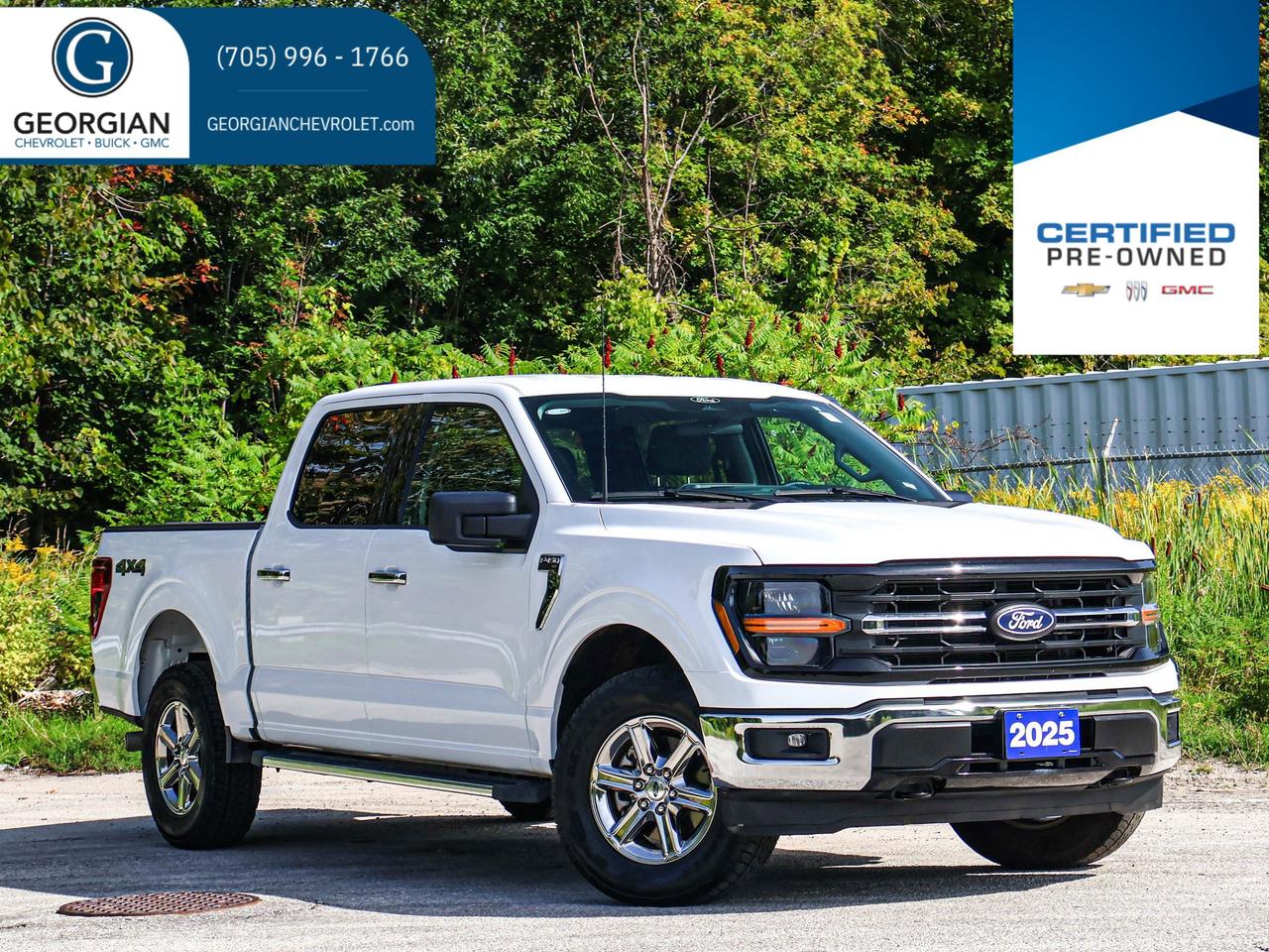 2025 Ford F-150 XLT Photo