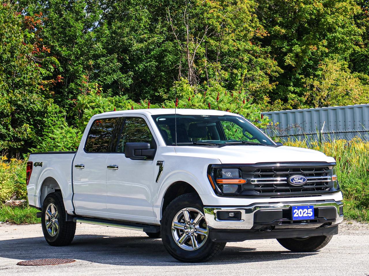 2025 Ford F-150 XLT Photo