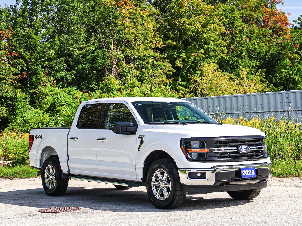 2025 Ford F-150 XLT Photo