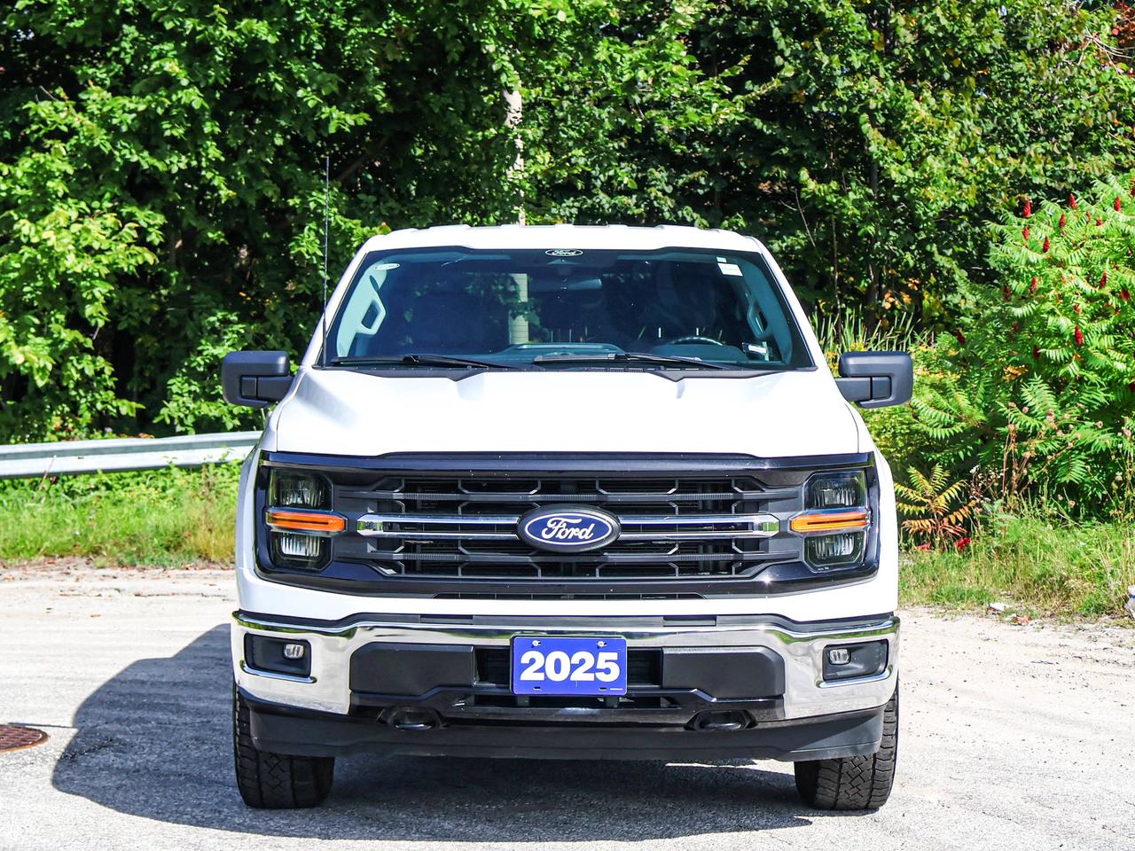 2025 Ford F-150 XLT Photo