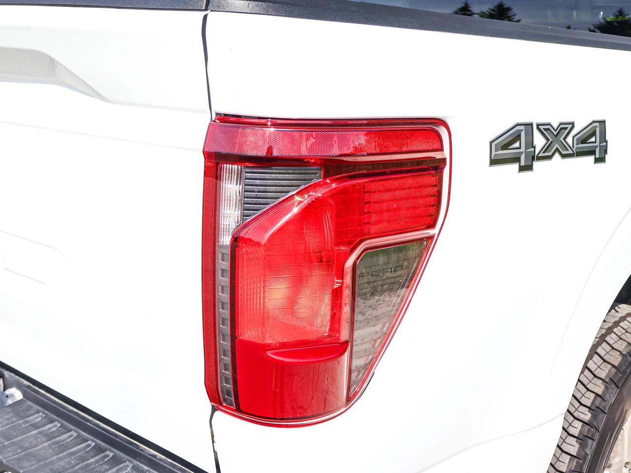 2025 Ford F-150 XLT Photo