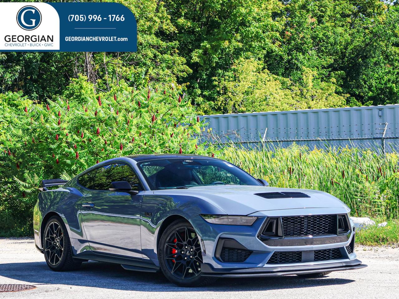 2024 Ford Mustang GT Photo