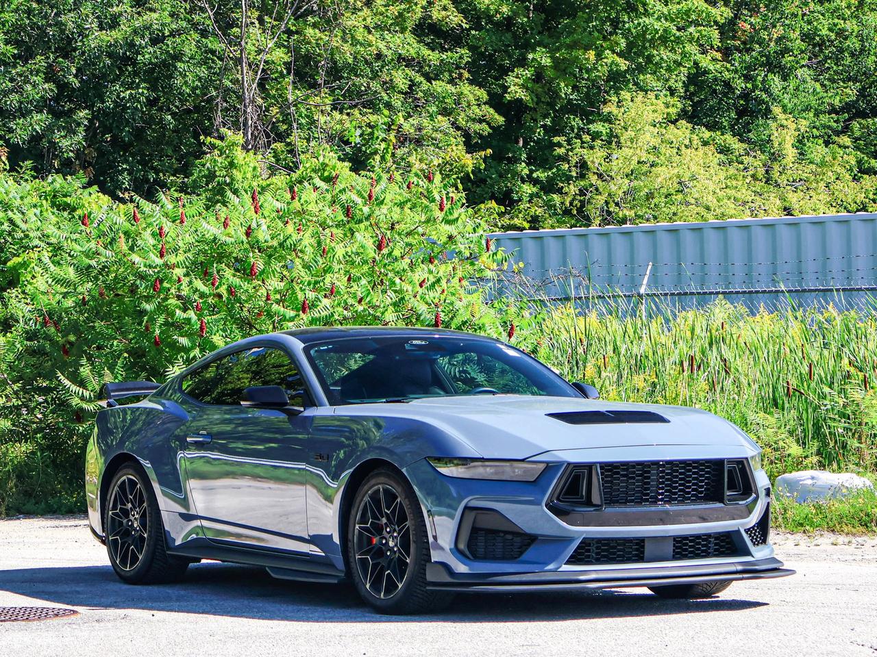 2024 Ford Mustang GT Photo