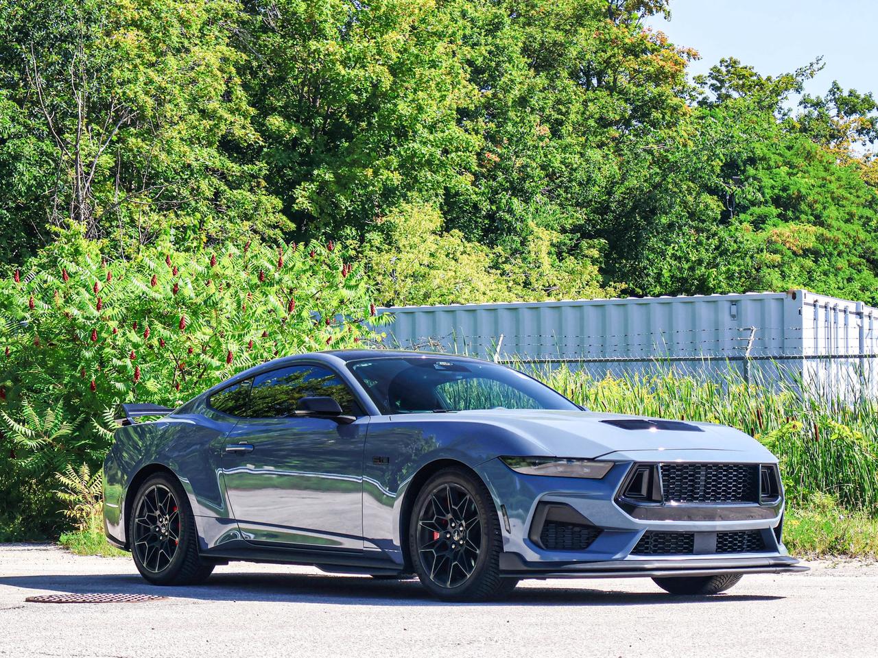 2024 Ford Mustang GT Photo