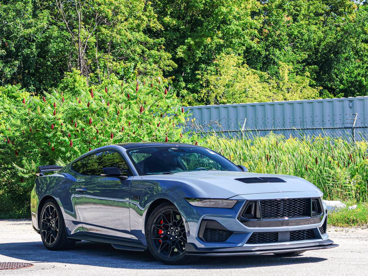 2024 Ford Mustang GT Photo