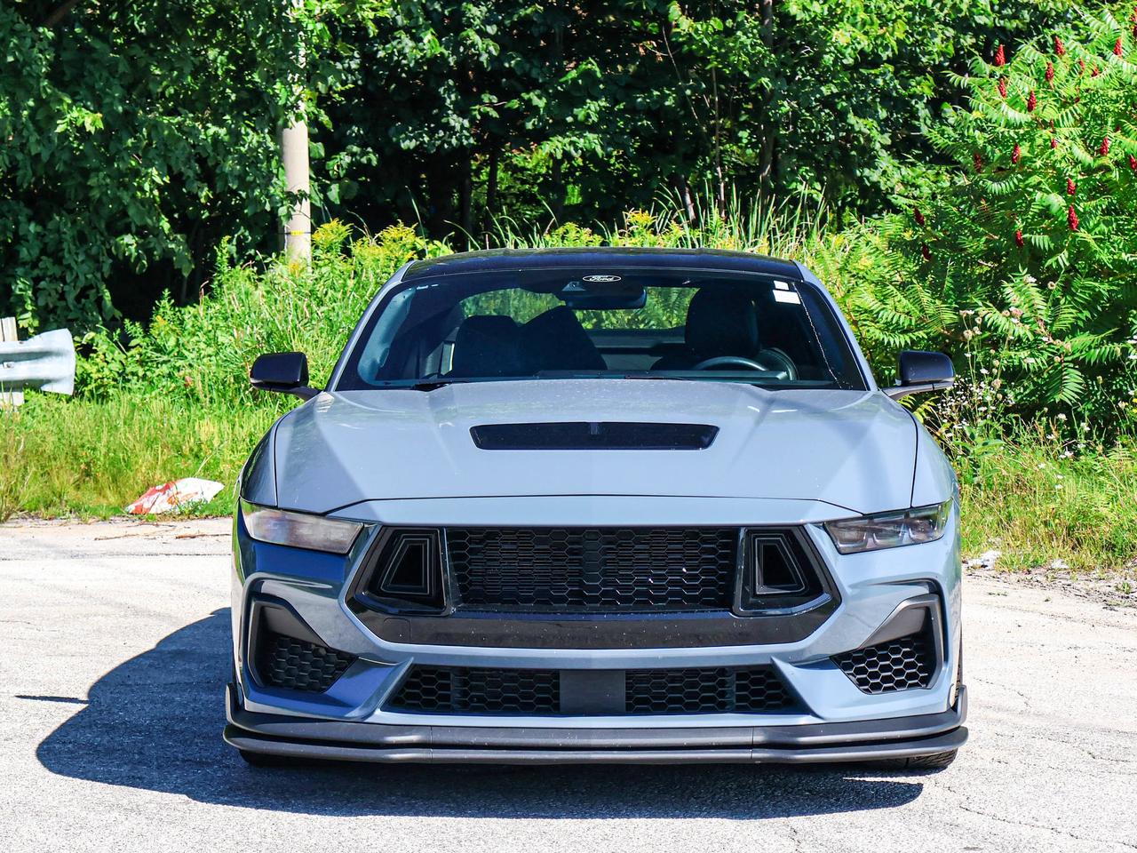 2024 Ford Mustang GT Photo
