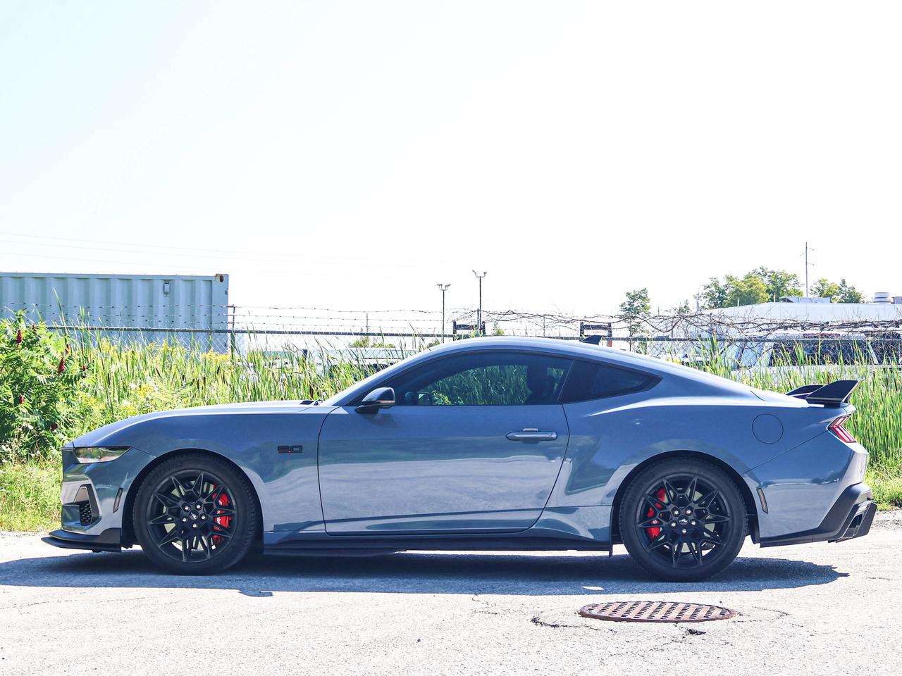 2024 Ford Mustang GT Photo