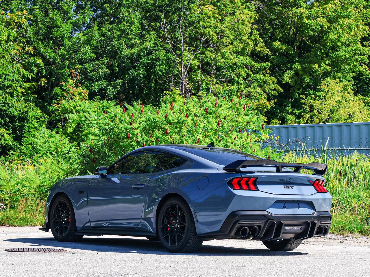 2024 Ford Mustang GT Photo