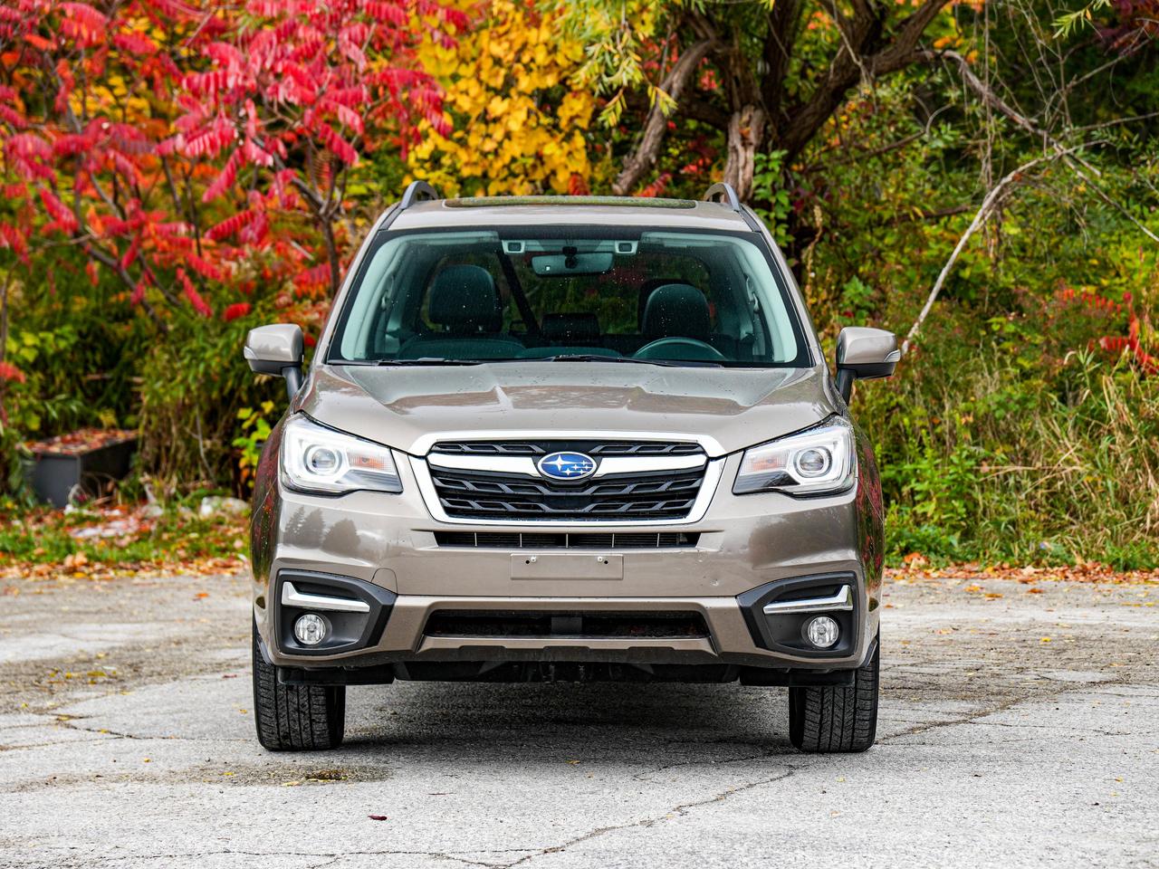 2018 Subaru Forester Limited Photo